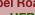 shapeimage_2_link_0
